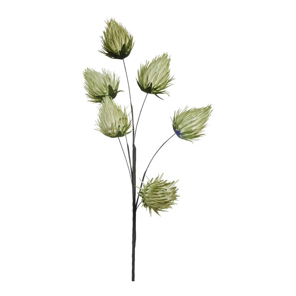 Happia Koriskekukka 85 cm Vihreä