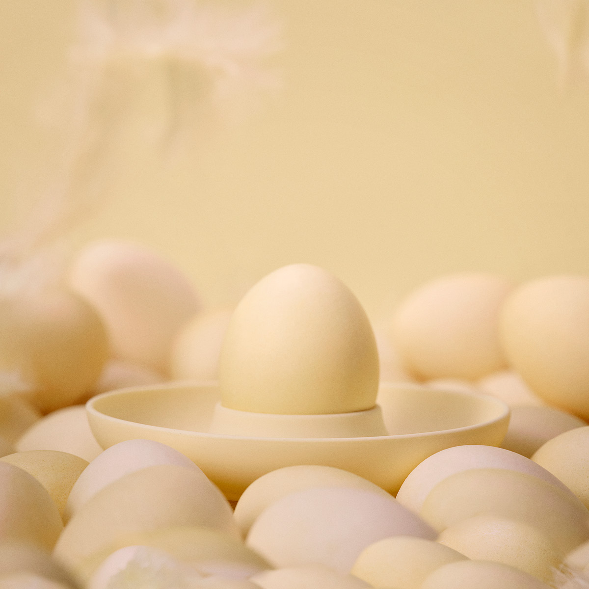 Zone Singles eggeglass m. holder 4 stk limestone