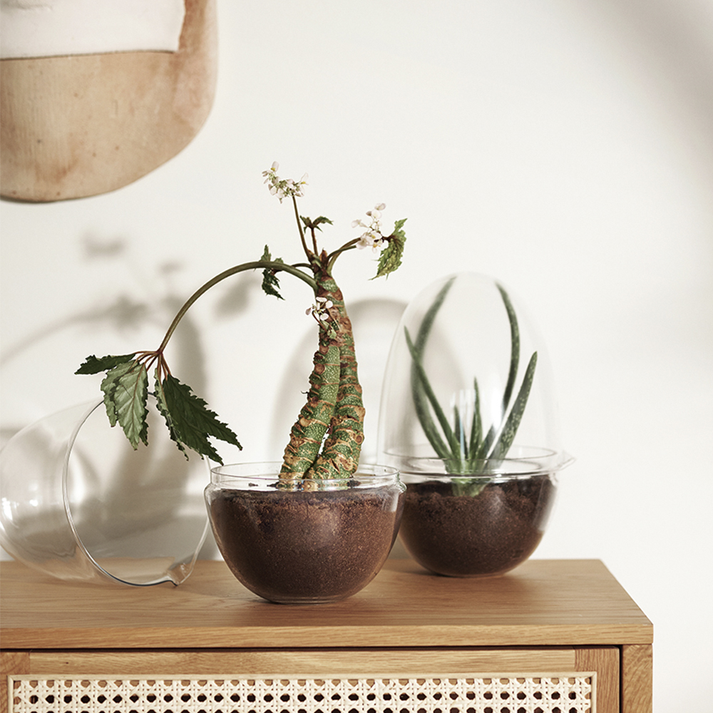 Design House Stockholm Grow Kasvihuone Large / Suuri 32 cm