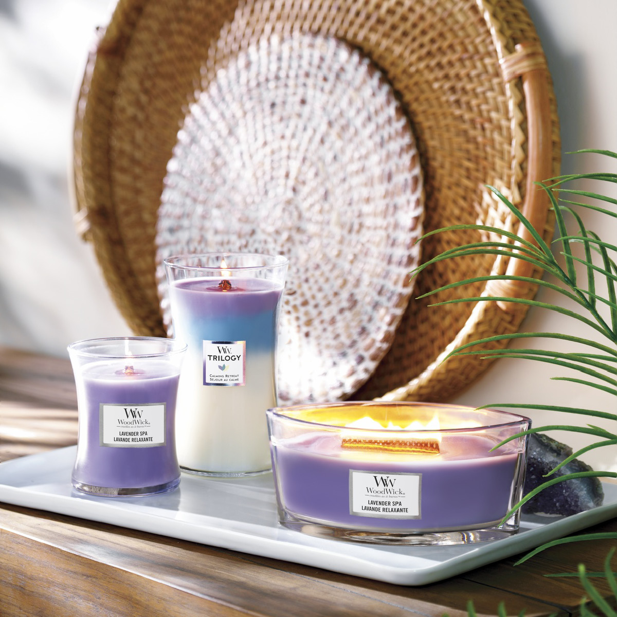 WoodWick Ellipse doftljus lavender spa