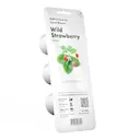 Smart Garden Refill 3-pack smultron