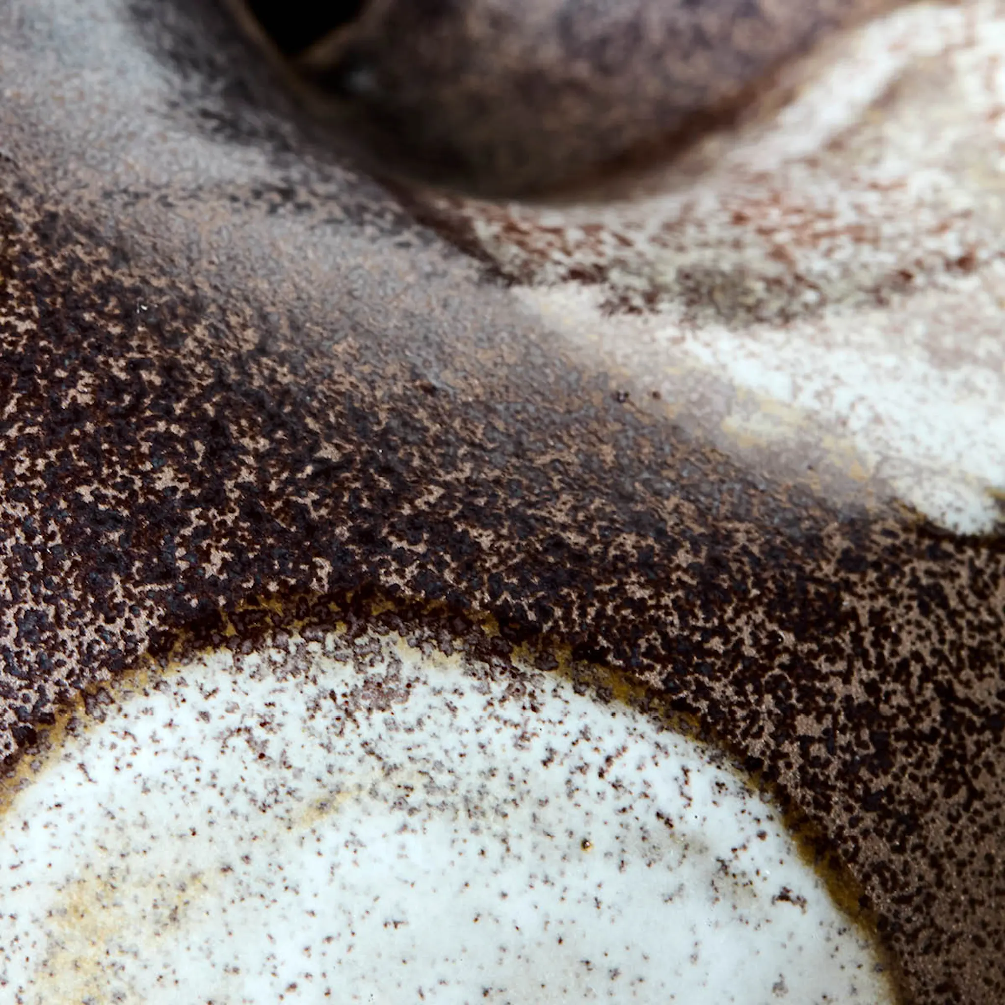 House Doctor Expo vas 19 cm brun/vit