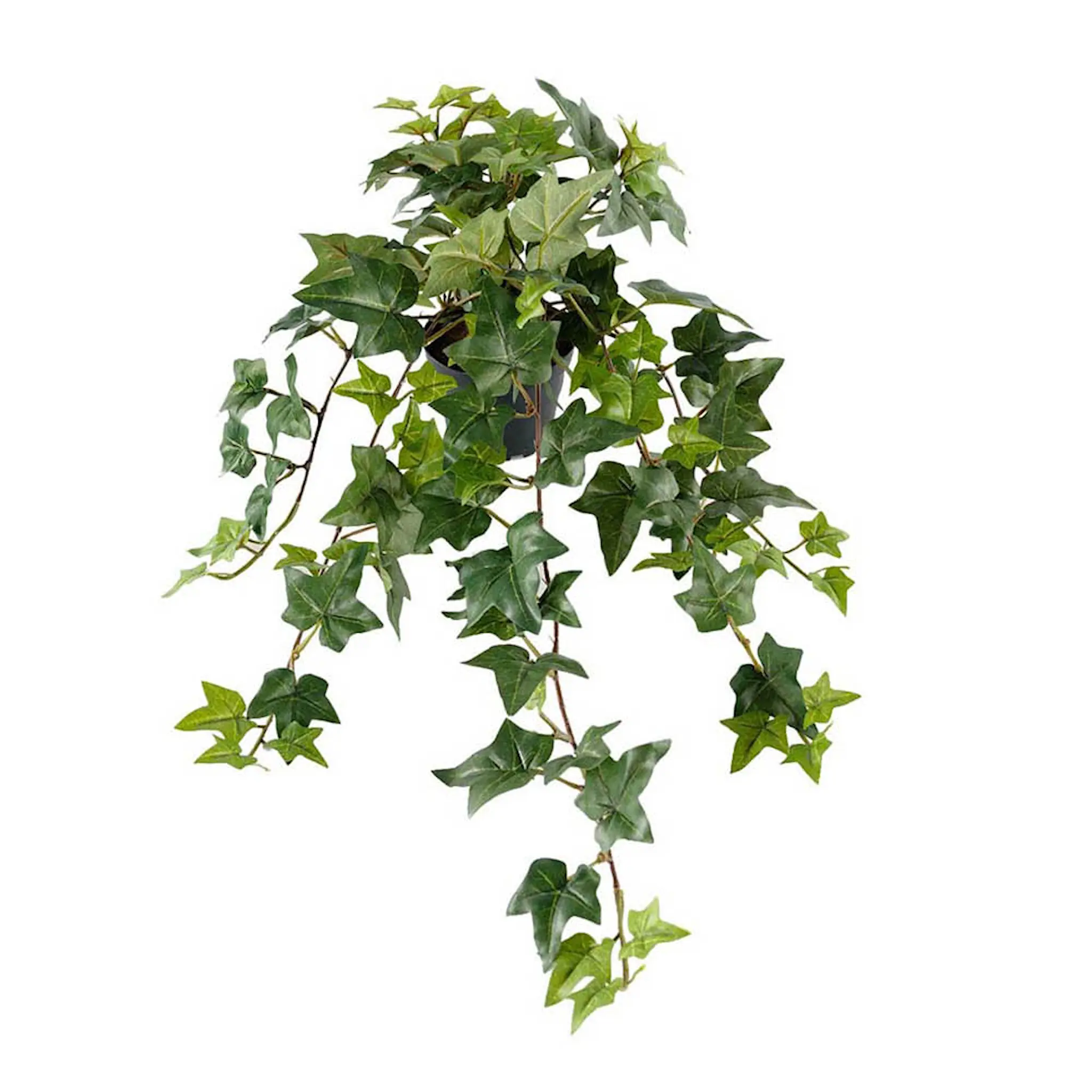 Mr Plant Eføy kunstig potteplante 60 cm grønn