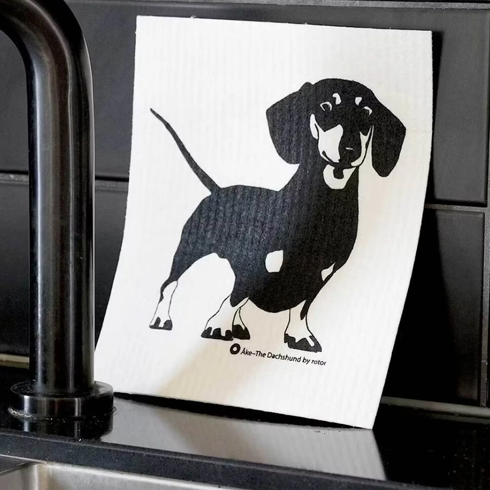 Rotor Design Åke disktrasa 20x17 cm 6-pack svart/vit