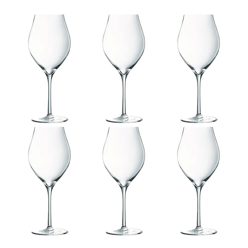 Exaltation Punaviinilasi 55 cl 6 kpl