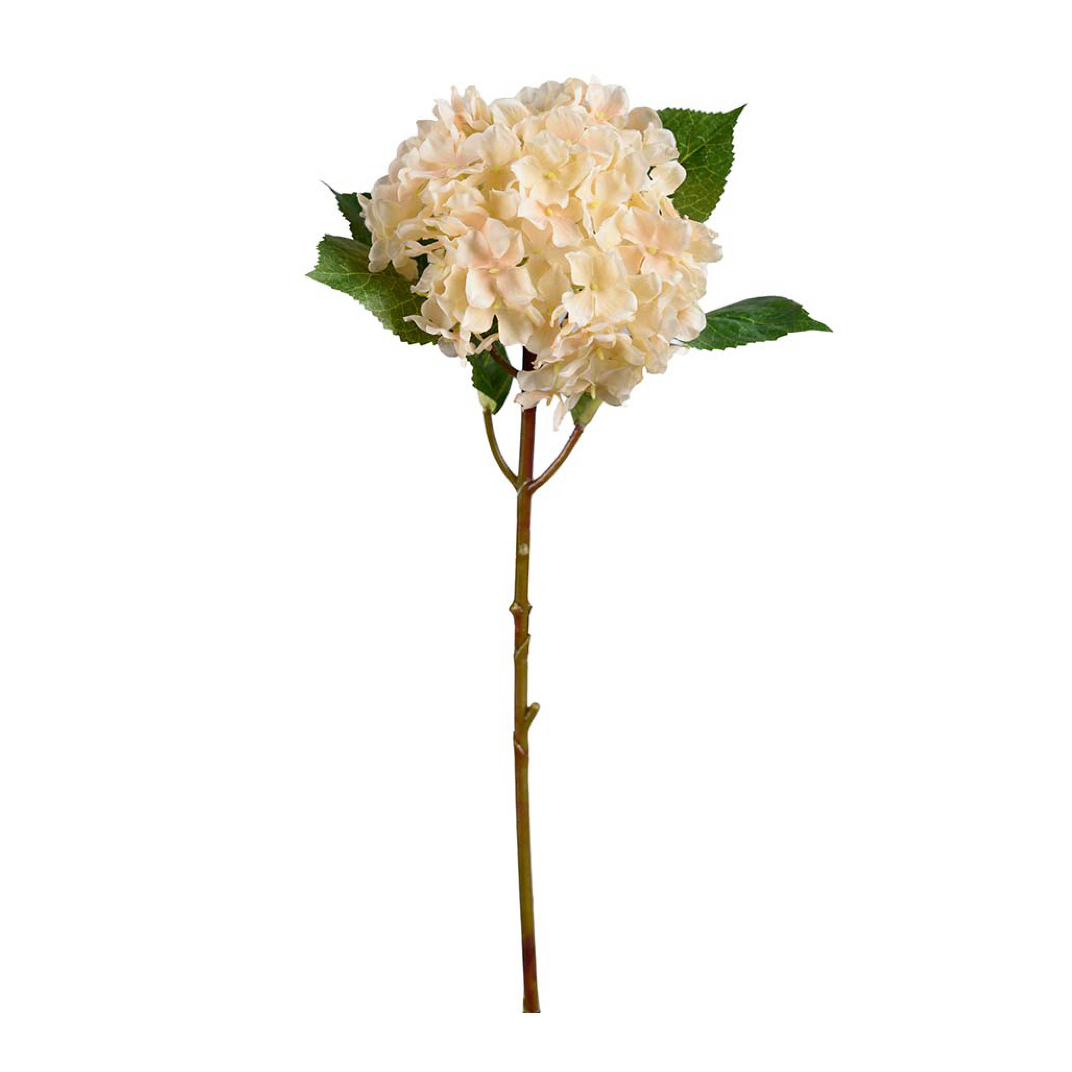 Mr Plant - Hortensia tekokasvi 40 cm kerma