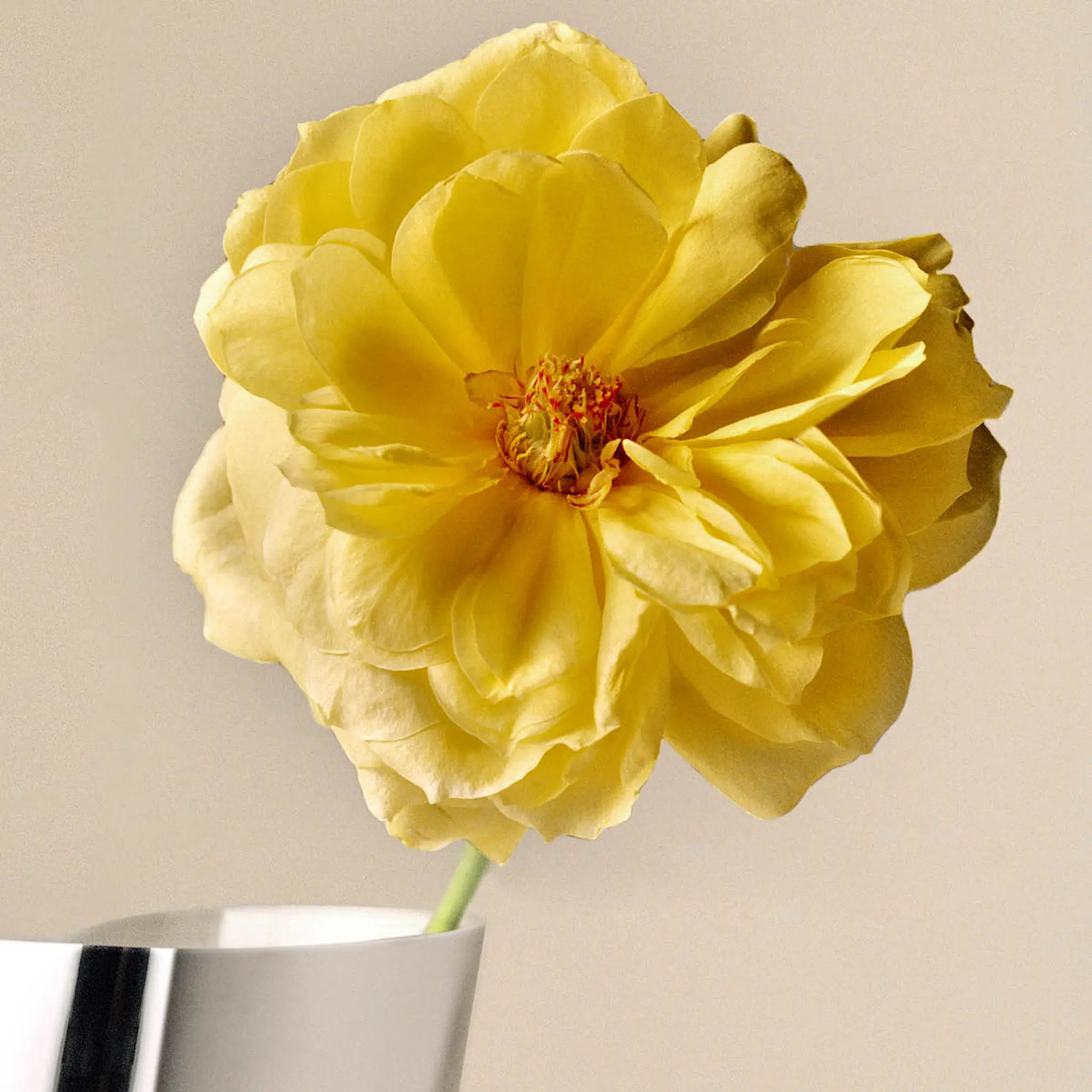 Georg Jensen Lituus Maljakko 35,3 cm