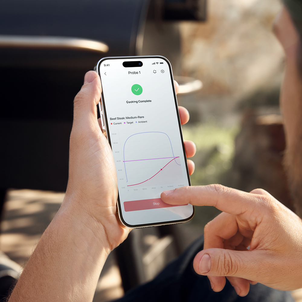 Thyphur Sync Dual trådløst steketermometer sølv/svart