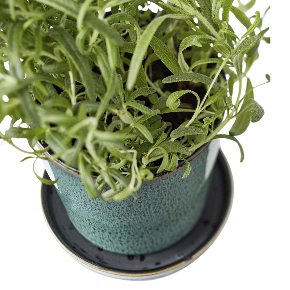 Bitz Skjuler Kruka med fat 10 cm Grön/Svart