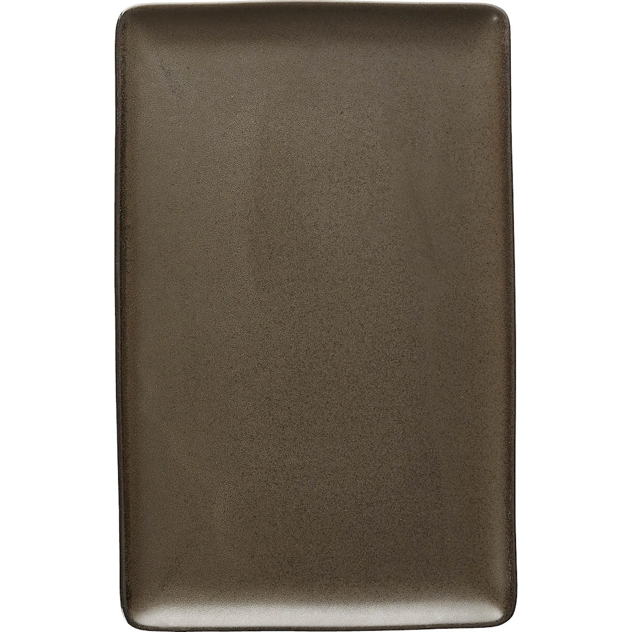 Aida Raw Tallrik rektangulär 31,5x20 cm Brun Metallic