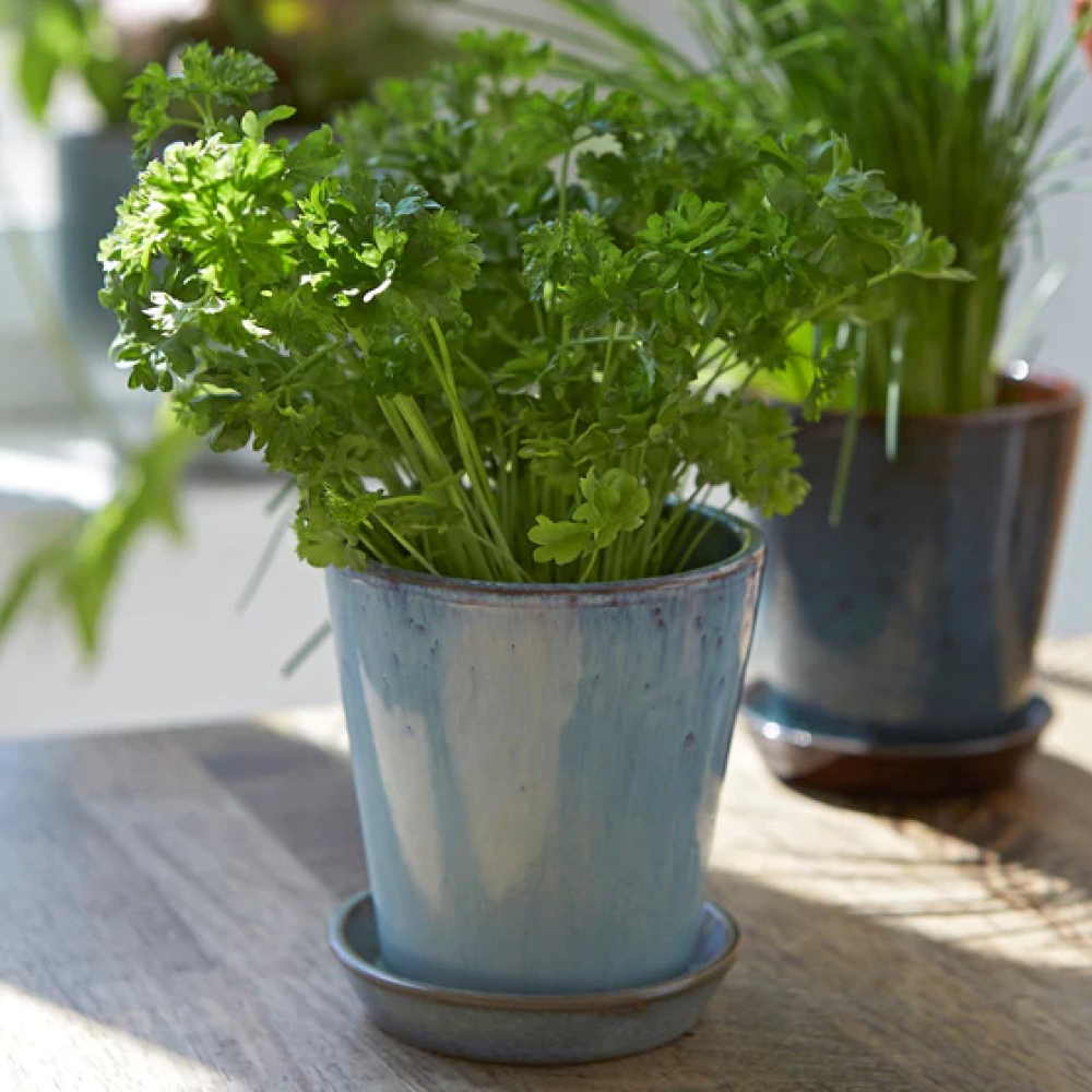 Knabstrup Keramik Knabstrup Örtkruka 10,5 cm Dusty Blue