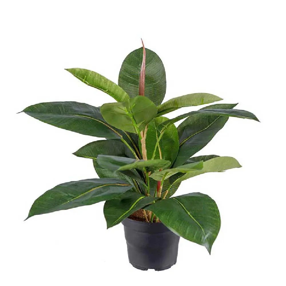 Fikus Robusta kunstig plante 35 cm