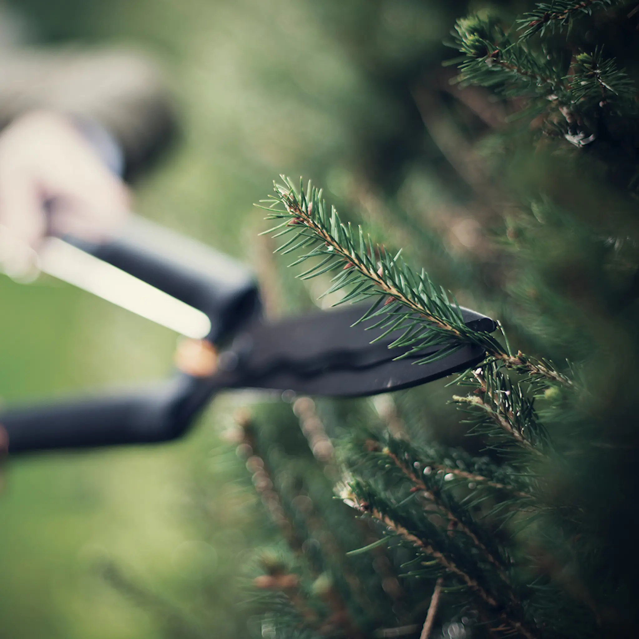 Fiskars SingleStep häcksax HS22 58 cm svart
