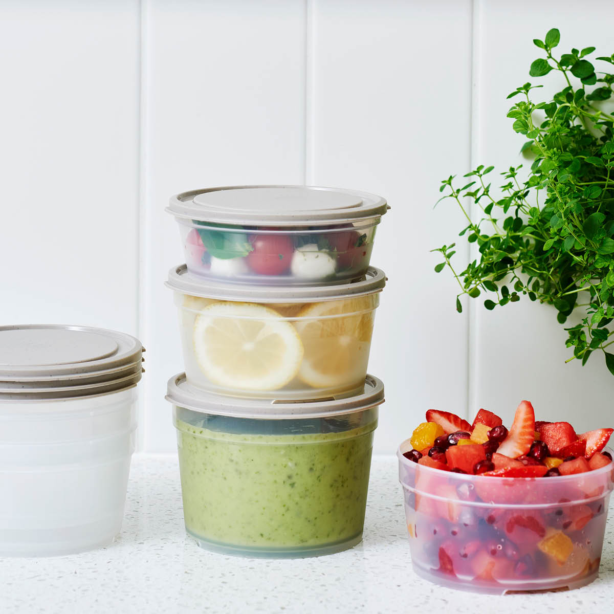 SmartStore BIO Sustain matoppbevaring 0,3L Earl Grey bioplast