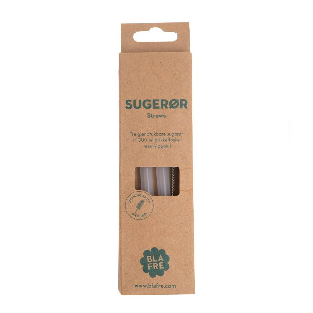Blafre - Blafre Pilli 300 ml teräspulloon 3 kpl harjalla