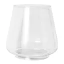 Accessories glas amaryllis klar