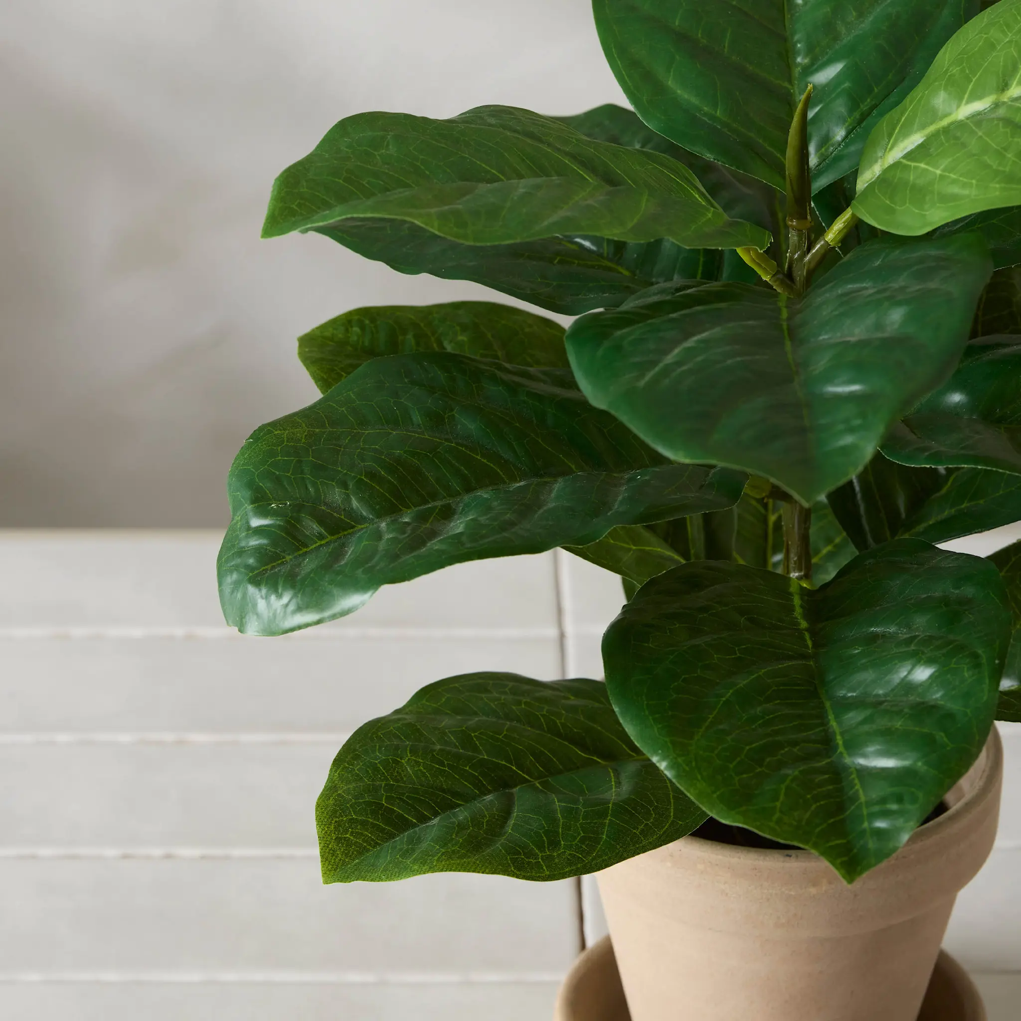 Mr Plant Fiolinfiken kunstig potteplante 40 cm grønn