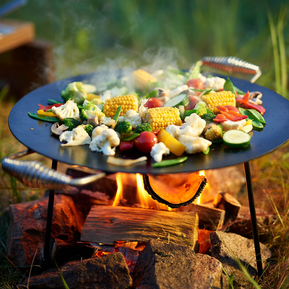 Hällmark of Sweden Hällmark Muurinpohjapannu 48 cm