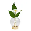 Orbis Vas Glas/Mässing 8x7 cm