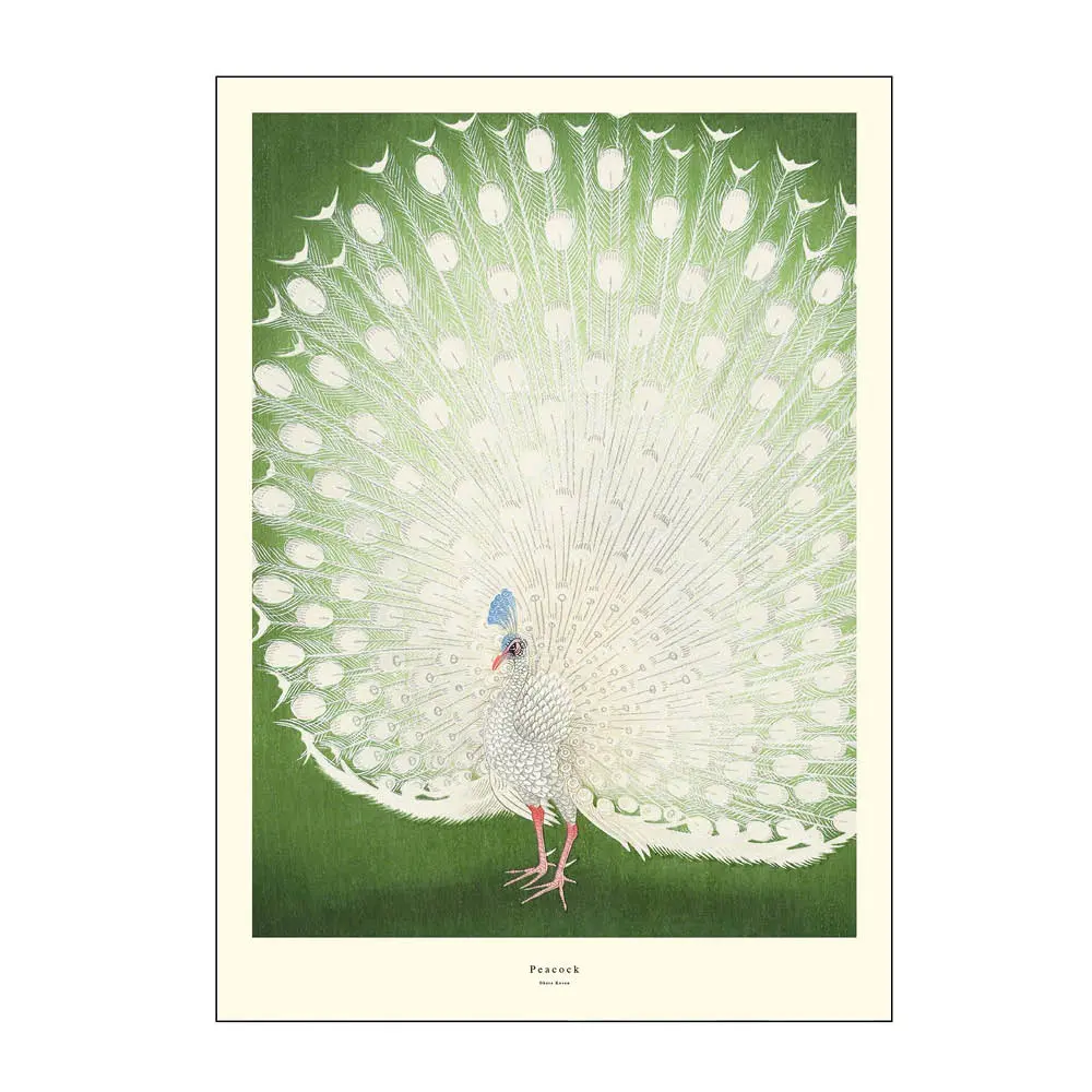 A.P. Atelier Juliste 50x70 cm Peacock