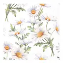 Servett 33x33 cm 20-pack Beautiful Daisies
