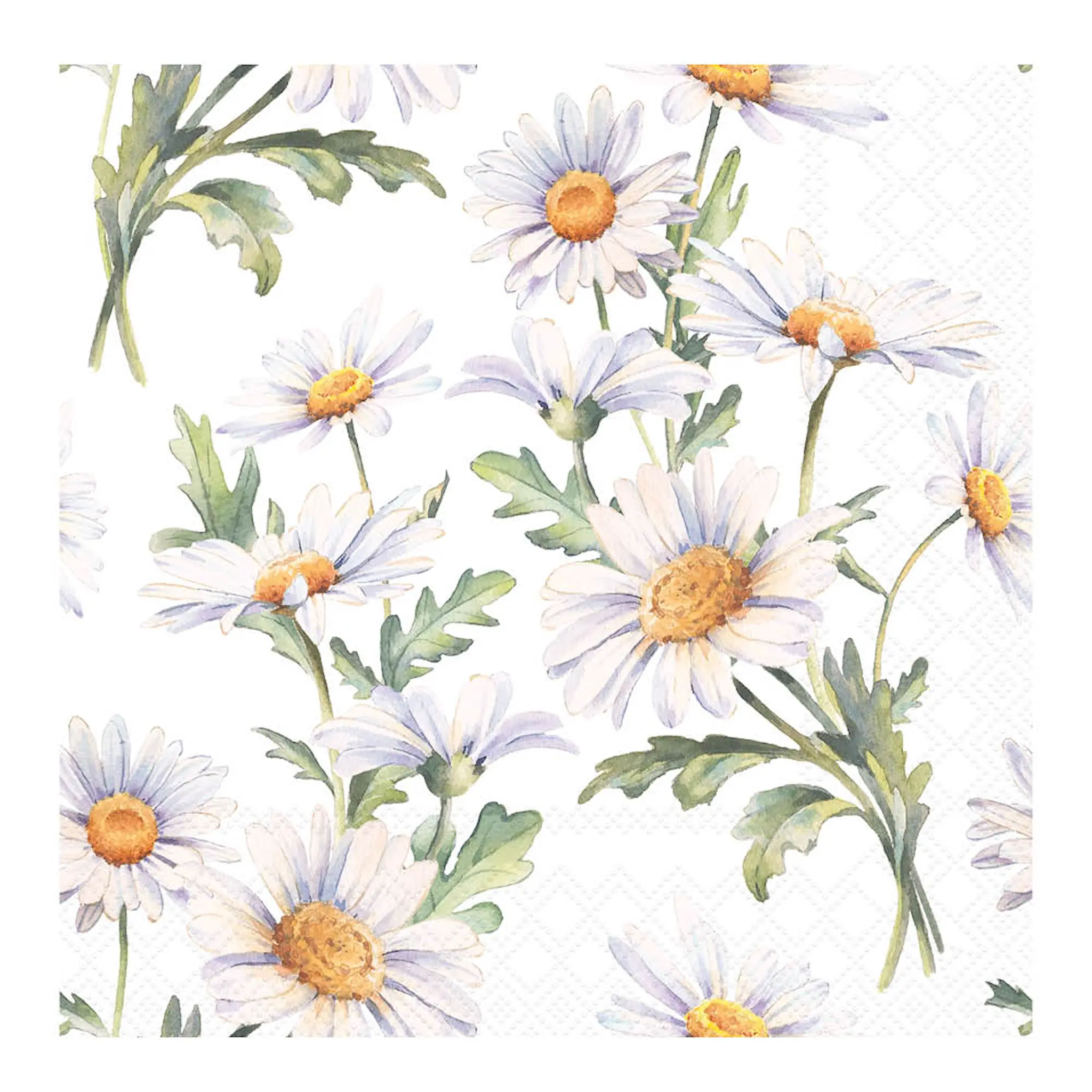 Ambiente Servetti 33x33 cm 20 kpl Beautiful Daisies