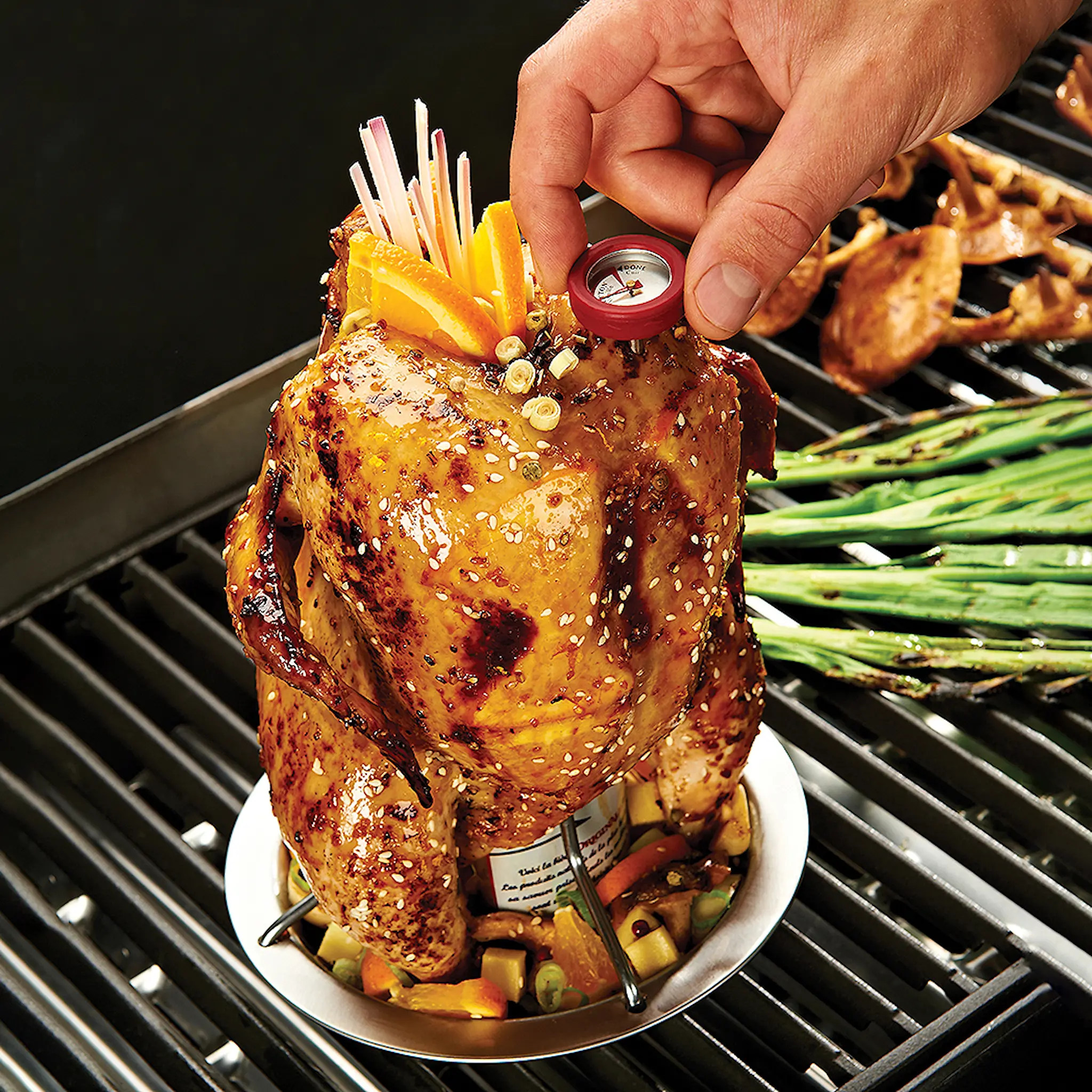 Broil King Kycklinghållare 18x20 cm rostfritt stål