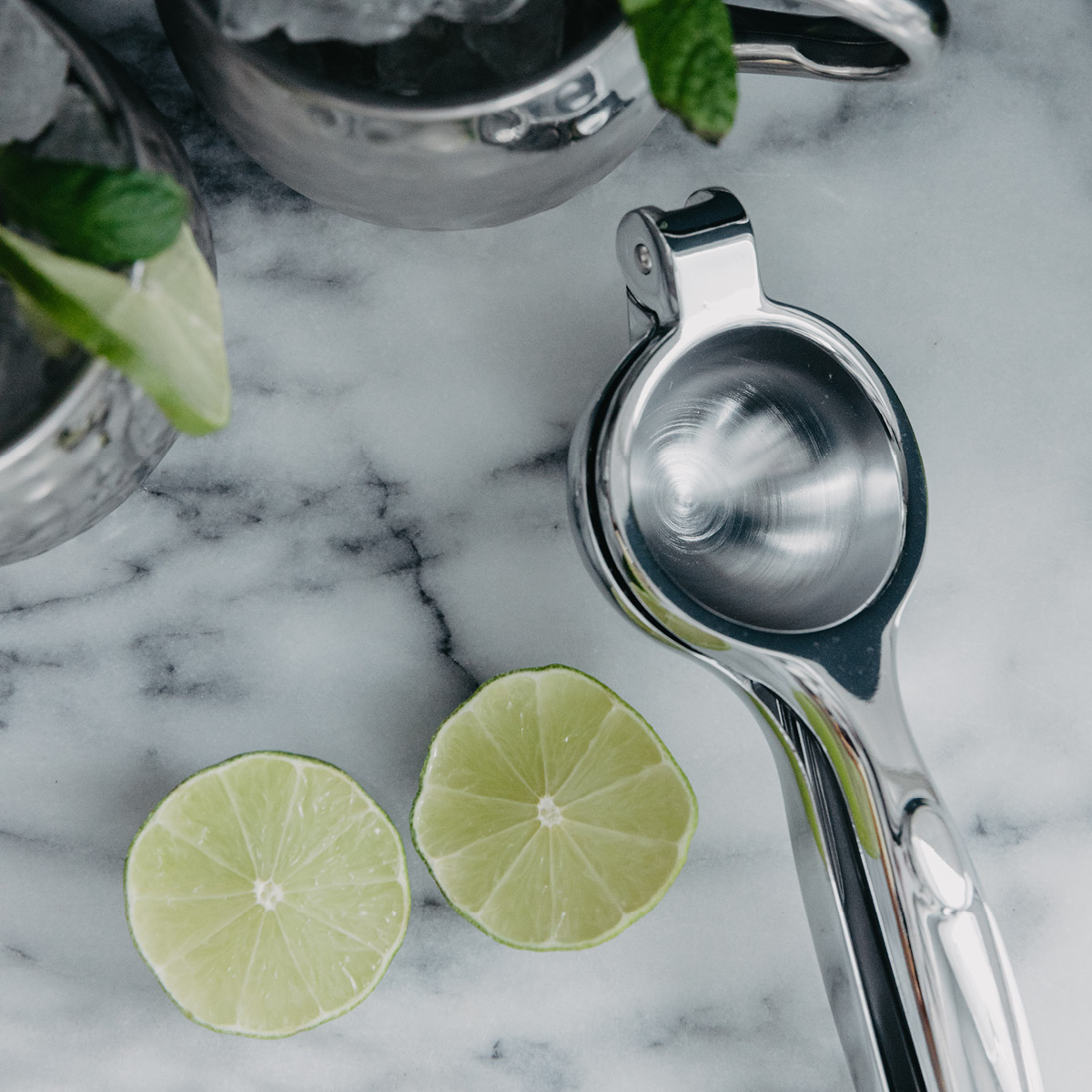 Taylor's Citruspress Rostfritt stål