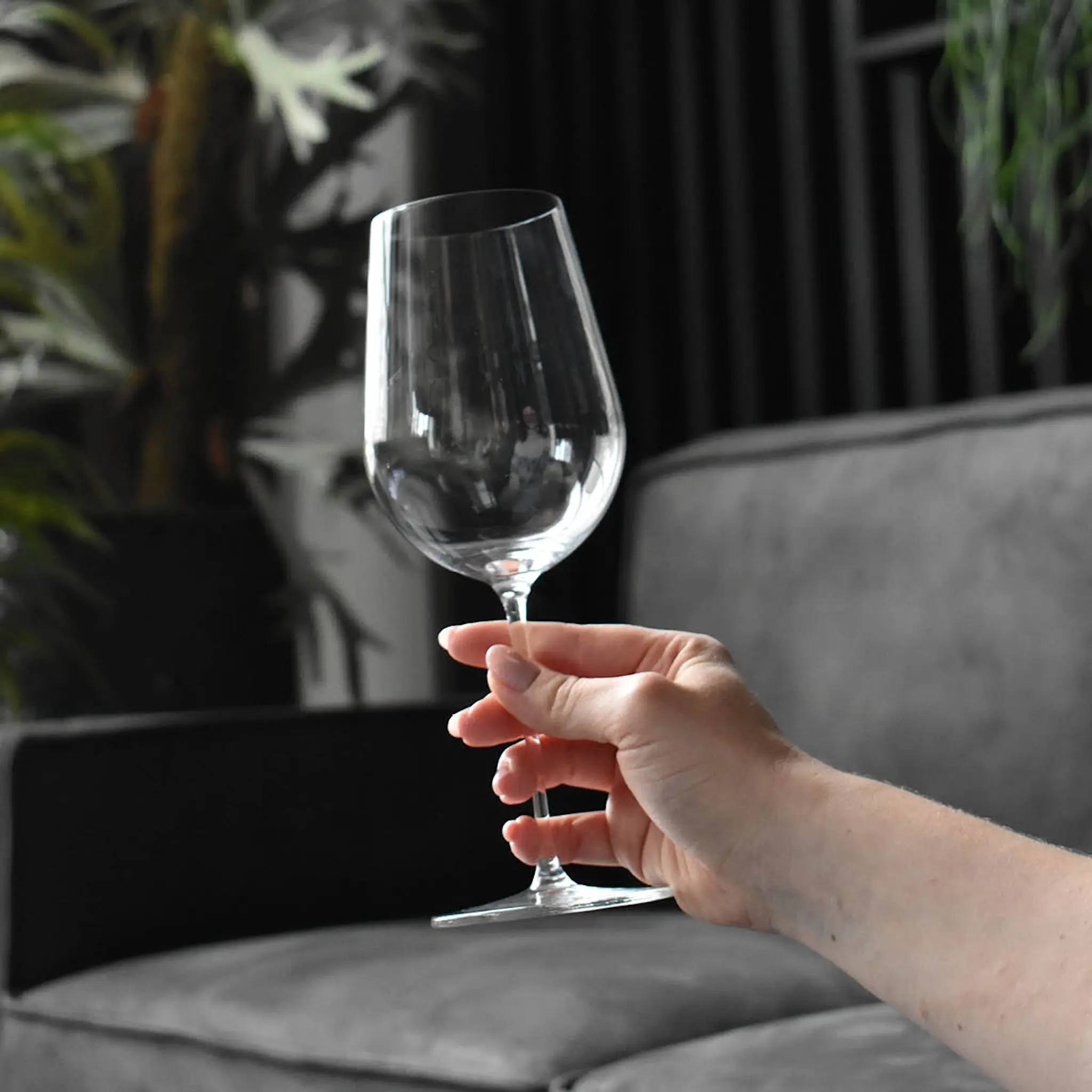 Zwiesel Glas Vuelo Valkoviinilasi 52 cl Kirkas