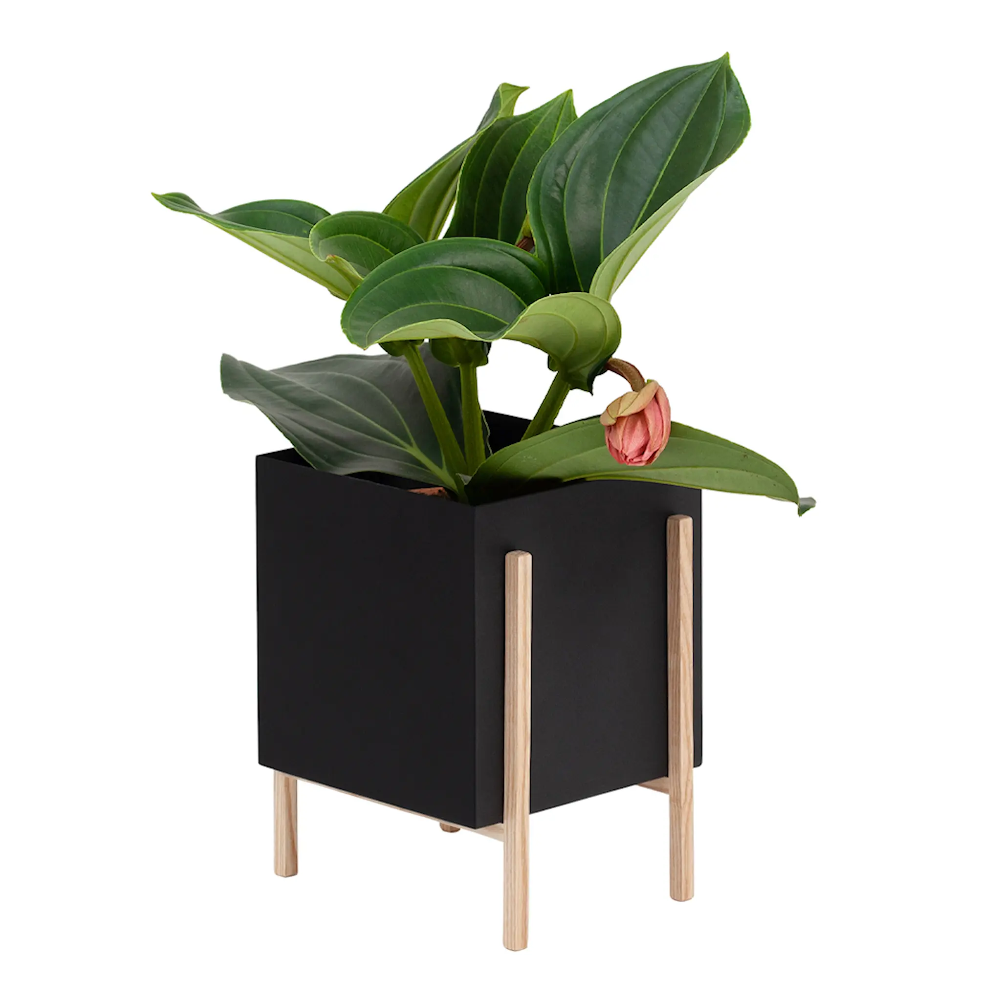 Design House Stockholm Botanic Kruka 18×20×25 cm