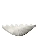 Shell Skål 34x33 cm Vit