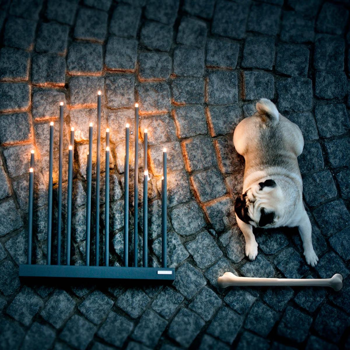 Smak Design Elflugan Lysestake Grande 50x12,5 cm antrasitt