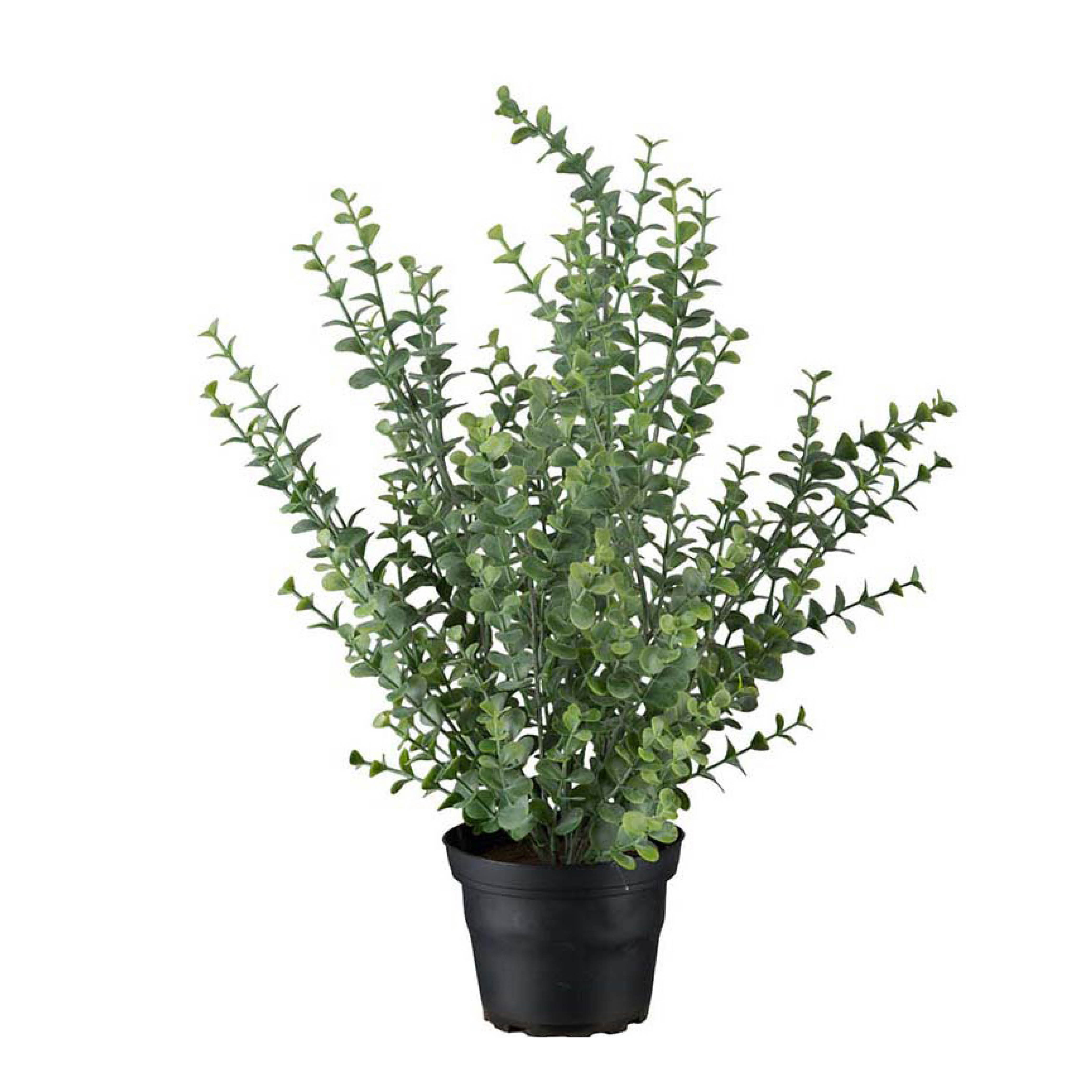 Mr Plant Eukalyptus kunstig potteplante 40 cm grønn