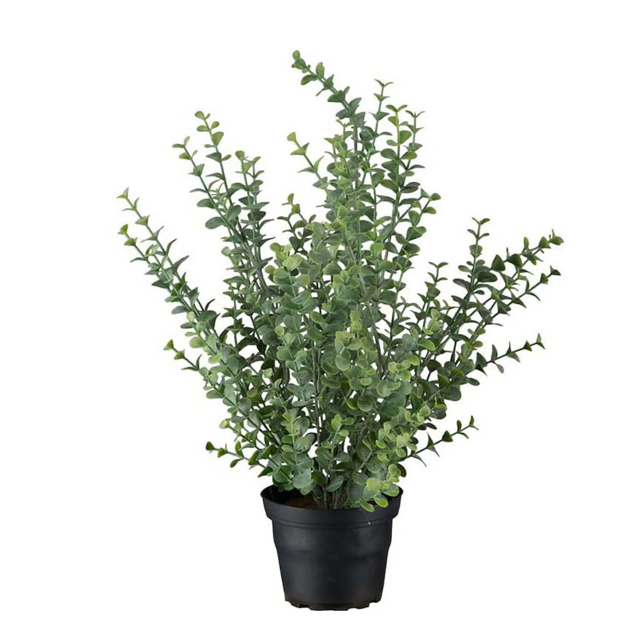 Mr Plant Eukalyptus kunstig potteplante 40 cm grønn