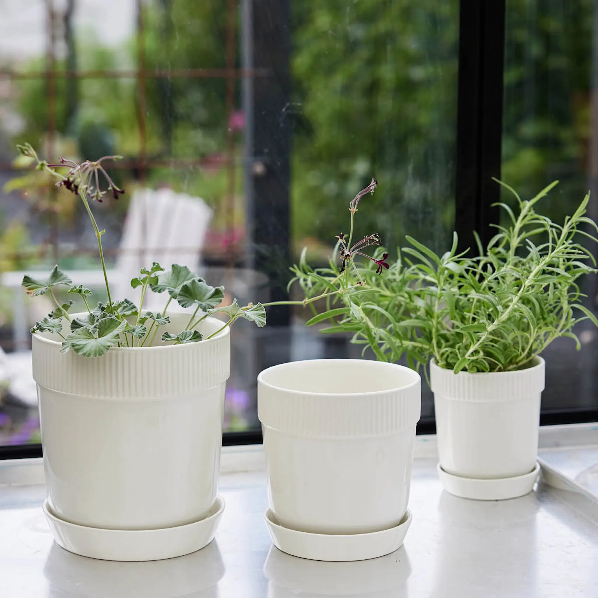 Sagaform Elise  Örtkruka 11 cm Vit