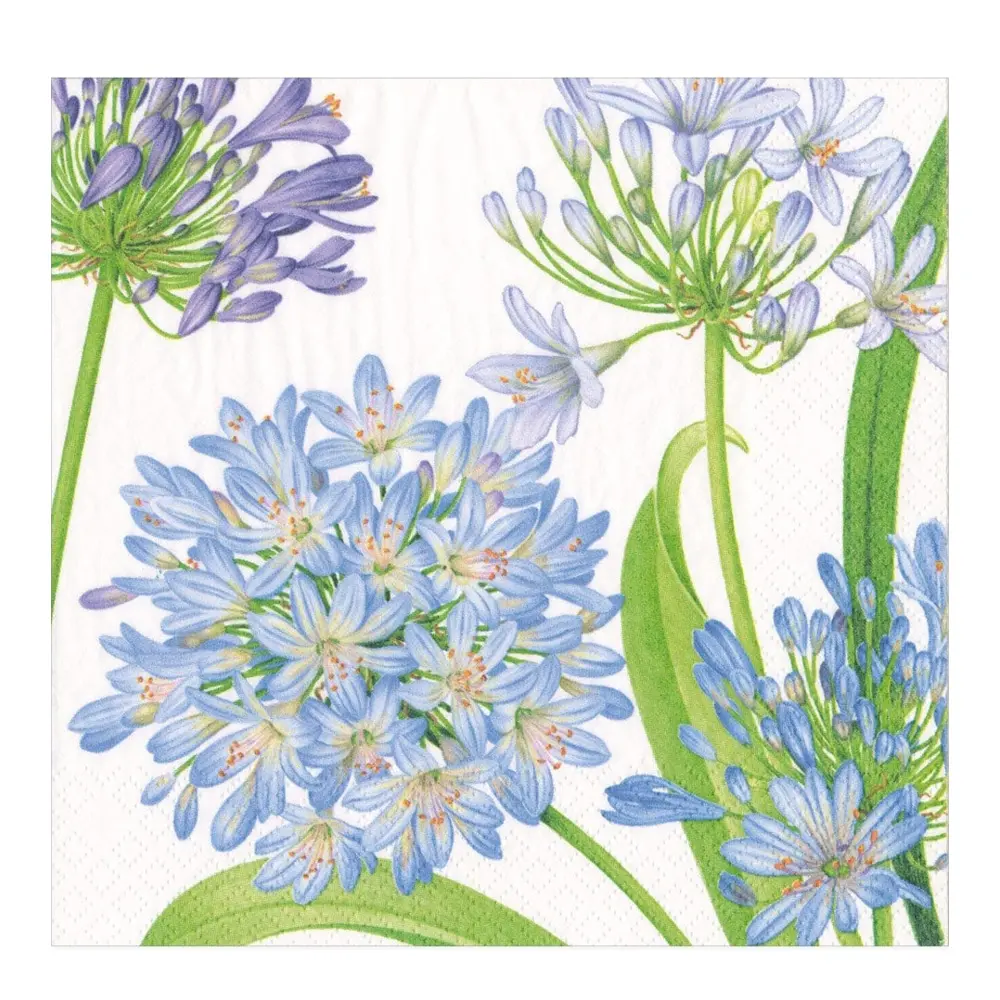 Agapanthus Garden Servetti 40x40 cm 20 kpl