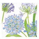 Agapanthus Garden servett 40x40 cm 20-pack blå/lila/vit