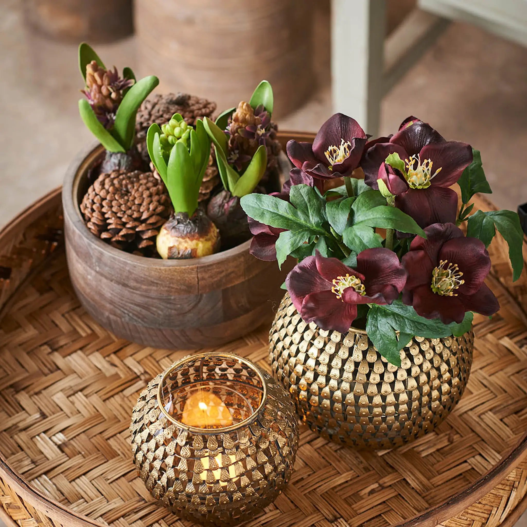 Mr Plant Julros 57 cm röd