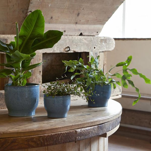 Knabstrup Keramik Knabstrup Odlingskruka 14,5 cm Dusty Blue