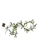 Olivec girlang 860-54 180 cm olivgren grön