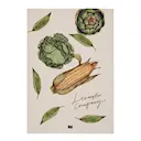 Kökshandduk med grönsaker i bomull 70x50 cm vit/oliv