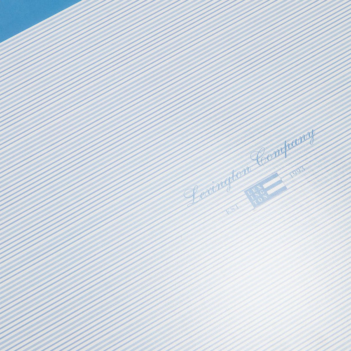 Lexington Bordstablett dubbelsidig 30x40 cm 2-pack vit/blå