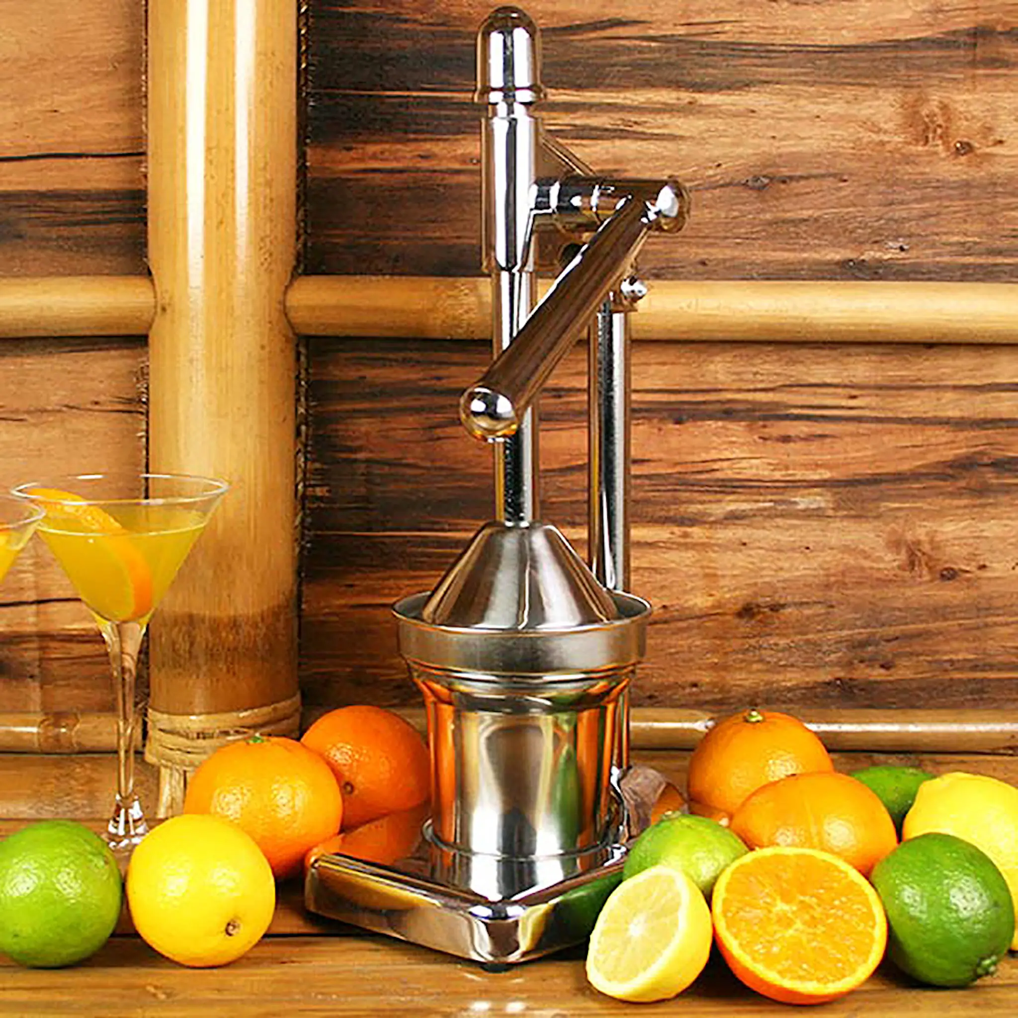 MasterClass Manuell sitruspresse rustfri