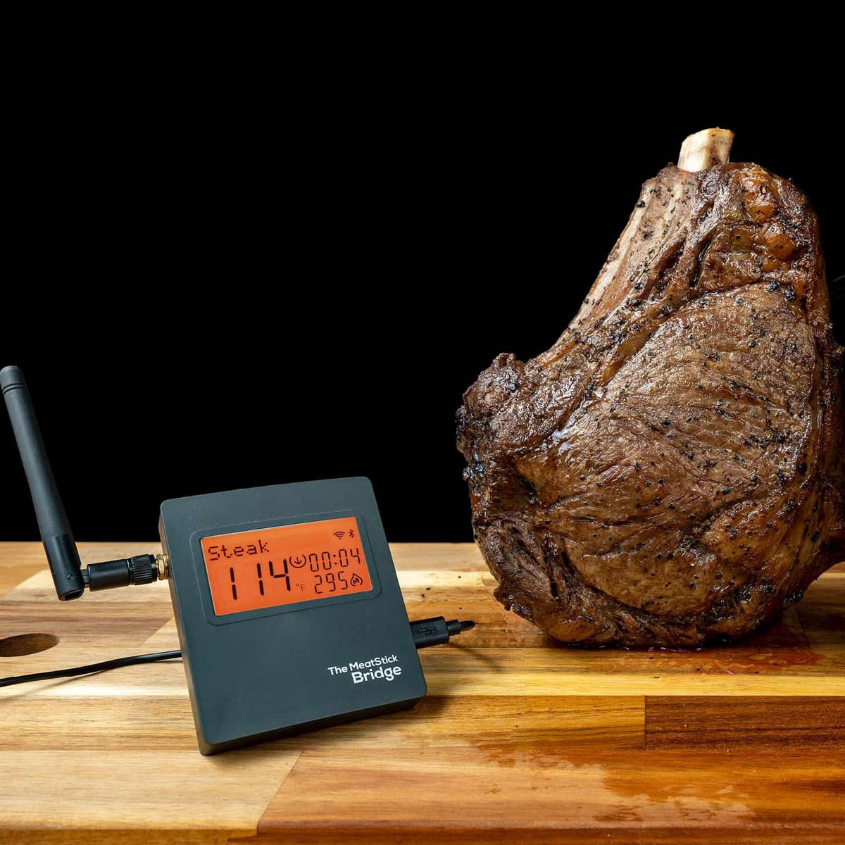 The MeatStick WiFi Travel Pack (Wifi Bridge + Reiseveske) til MeatStick