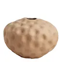 Valnöt