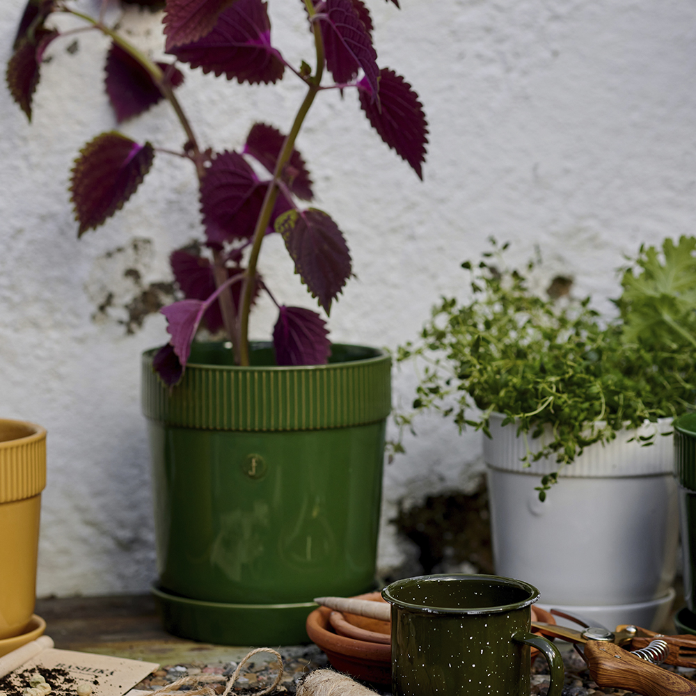 Sagaform Elise krukke 17x19 cm grønn