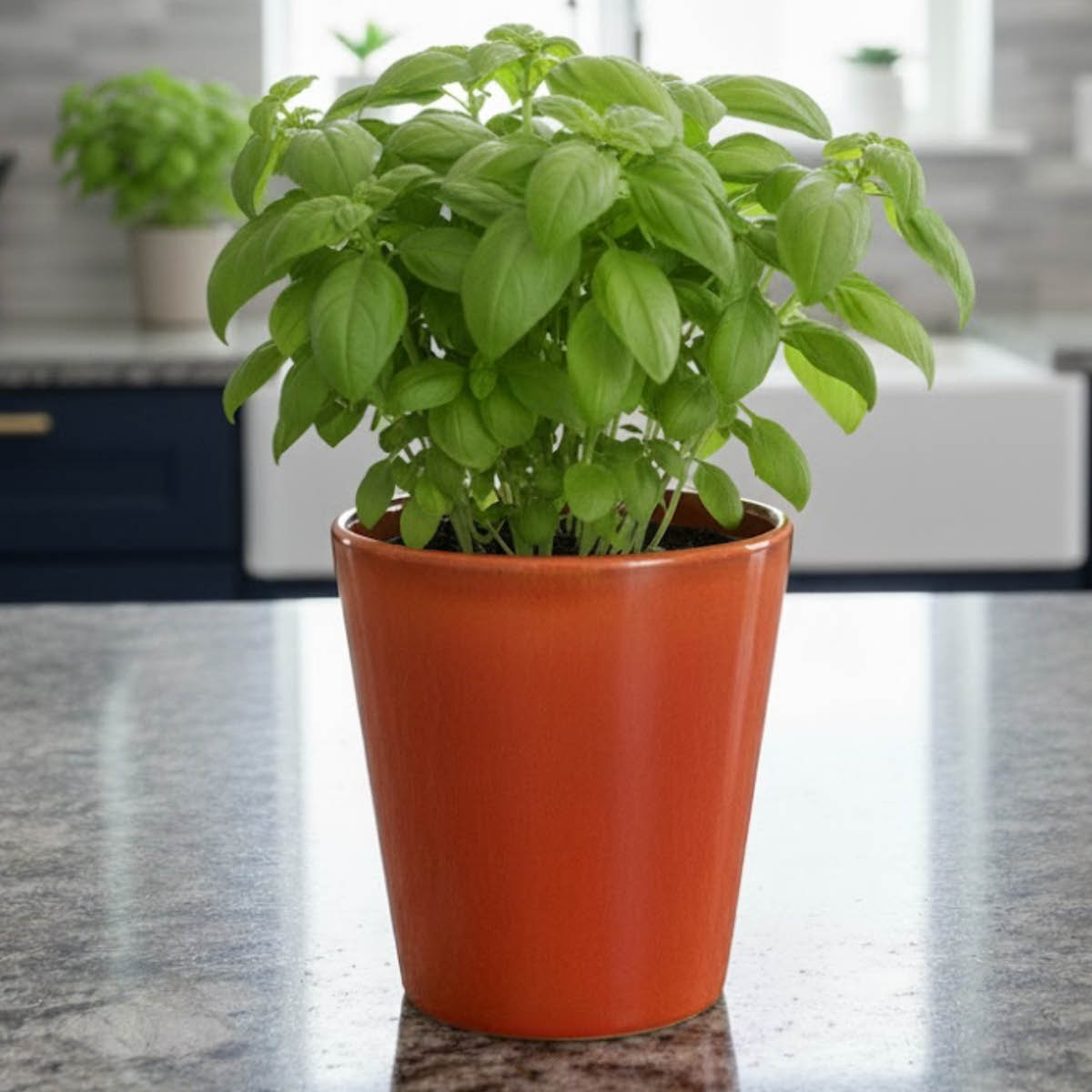 Rotor Design Plant blomkruka stor 16x17 cm orange