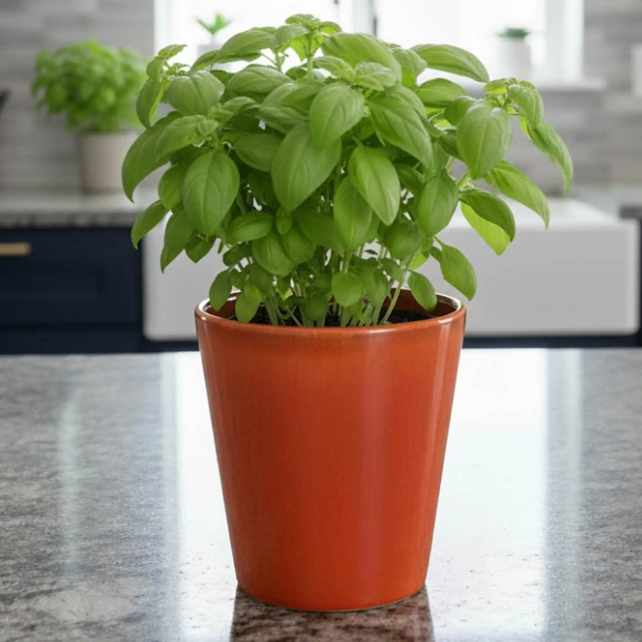 Rotor Design Plant blomkruka stor 16x17 cm orange