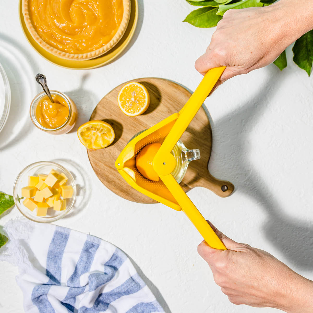 Dreamfarm Sitruspresse sitron sammenleggbar 25 cm gul