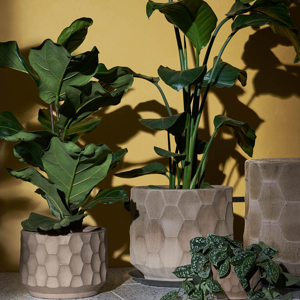 Kähler Gro Kruka Med Fat 43 cm Ljus Sand